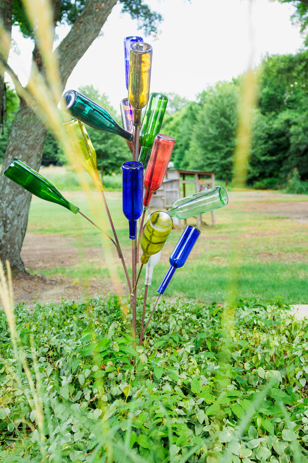 Freestyle Bottle Tree
