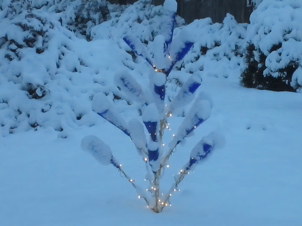 Southern Pine Bottle Tree