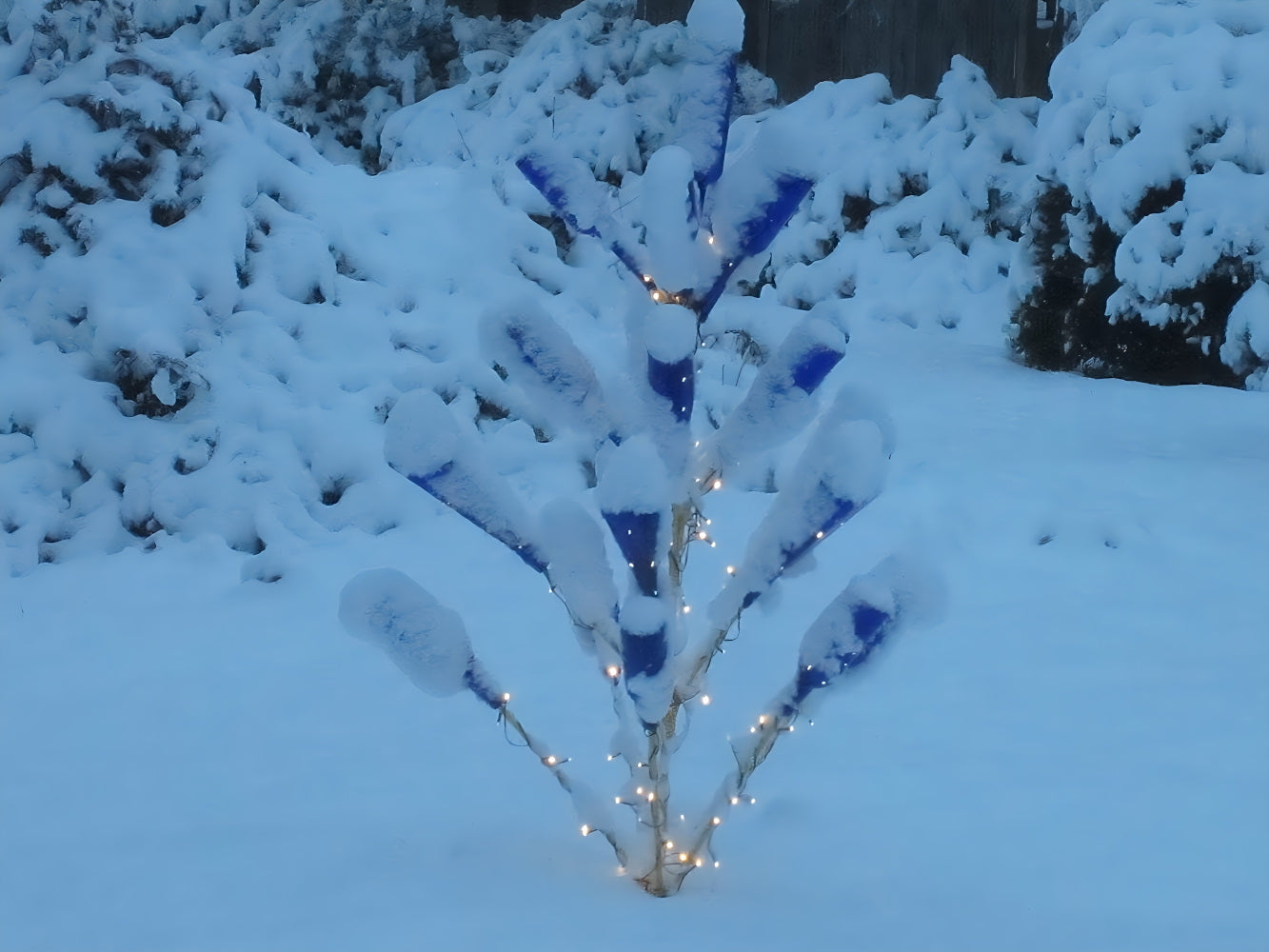 Southern Pine Bottle Tree