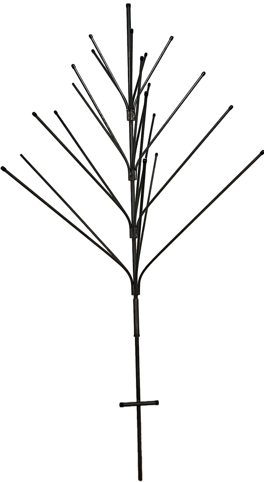 Southern Pine Bottle Tree