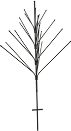 Southern Pine Bottle Tree