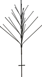 Southern Pine Bottle Tree